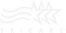 logo-4